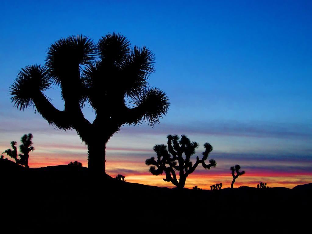 Raintree'S Cimarron Golf Resort Palm Springs Cathedral City Exteriör bild