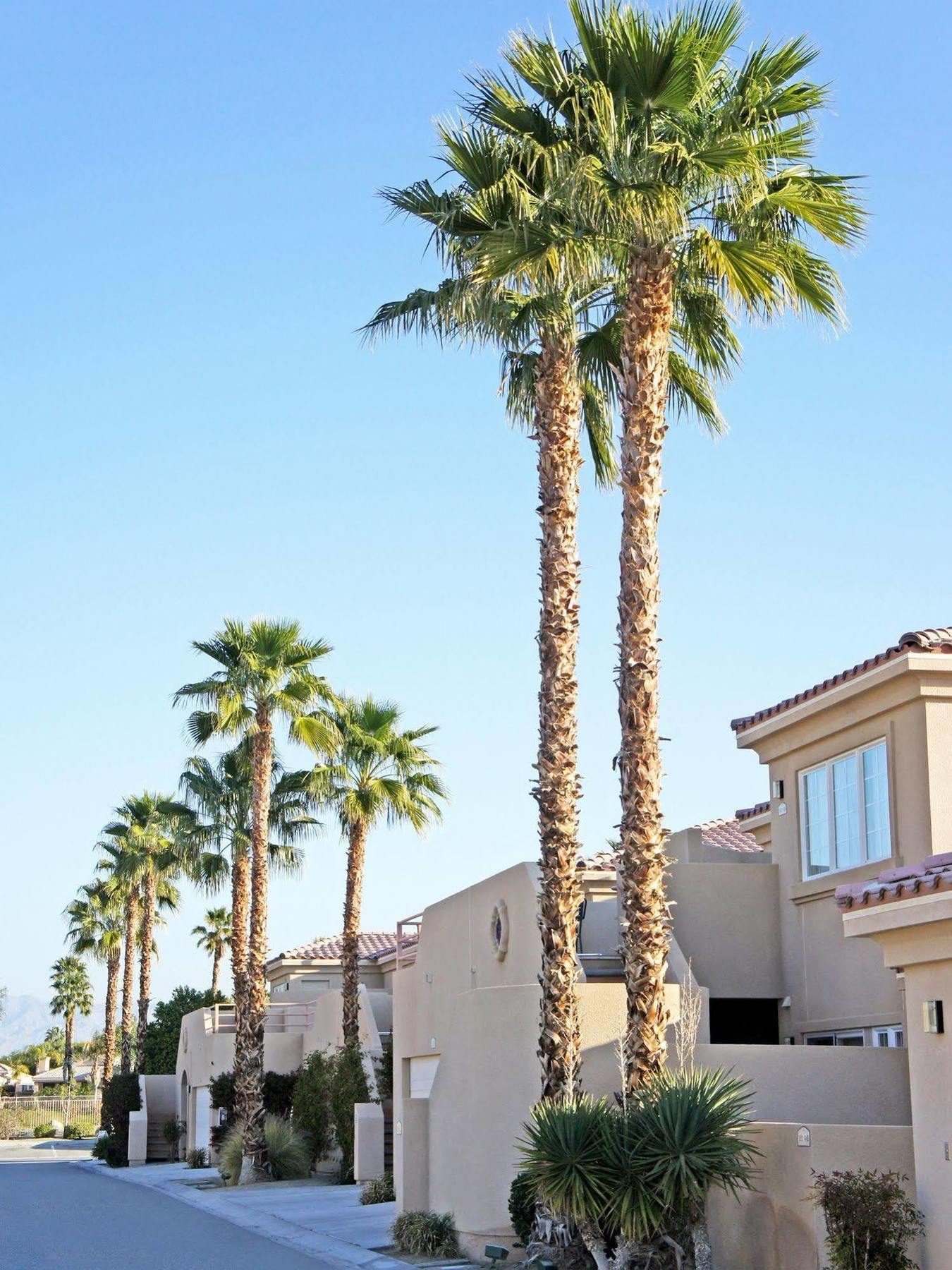 Raintree'S Cimarron Golf Resort Palm Springs Cathedral City Exteriör bild